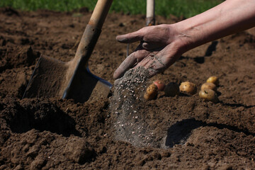 application of mineral fertilizers to the soil when planting seeds	
