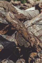 Troncos de una montaña de leña