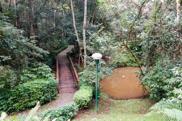 Bosque Alemao, or German Forest Park, in Curitiba, Brazil. trail walkway