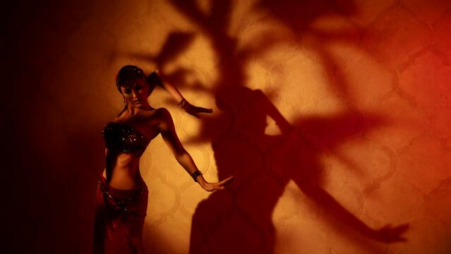 hypnotic and seductive dance of beautiful woman in ancient oriental style, professional belly dancer