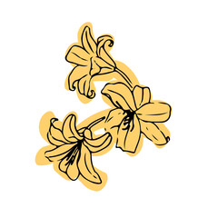 abstract floral background