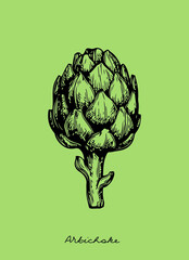 illustration of a vegetable. artichoke illustrations