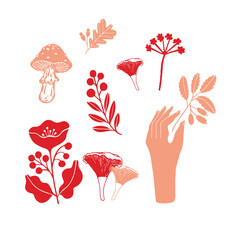 set of leafs, flowers and hands