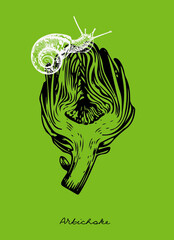 illustration of a vegetable. artichoke illustrations