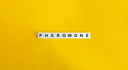Pheromone Word and Banner. Letter Tiles on Yellow Background. Minimal Aesthetics.
