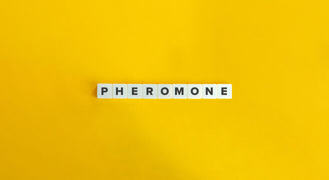 Pheromone Word and Banner. Letter Tiles on Yellow Background. Minimal Aesthetics.