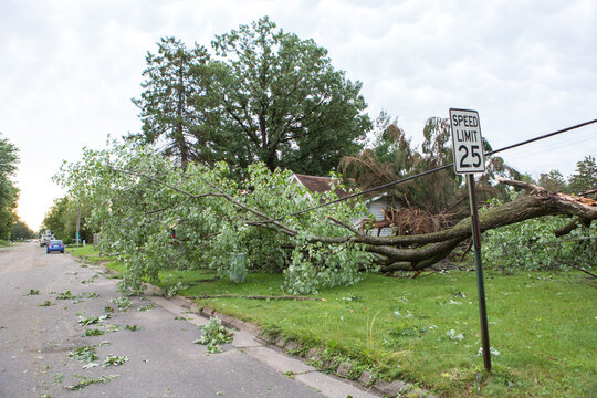 Storm Damage Aftermath. Damaged Tree By Hurricane Wind After Storm. Storm Damage Tree. Tree's Down On The Road. Transformer On A Electric Poles And A Tree Laying Across Power Lines Over A Road