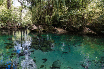 A small beautiful lake in a protected park area among mountains and trees.