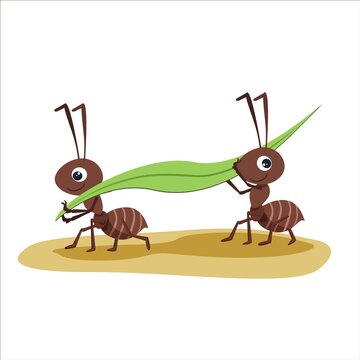 Two Cute Cartoon Ants Carrying Green Juicy Blades Of Grass Isolated On A White Background.Vector Children's Illustration Of Ants