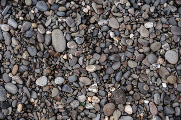 Smooth background with a texture of different sizes of pebbles. Pebble beach. Close-up.