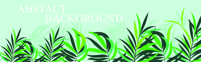 Abstract foliage and botanical background. Green tropical forest wallpaper of monstera leaves, palm, branches in hand drawn pattern. Exotic plants background for banner, prints, decor, wall art