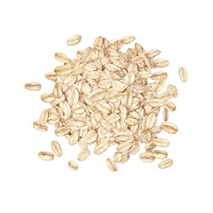 オートミール オーツ麦 イラスト リアル 