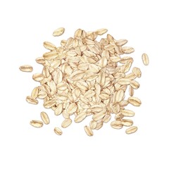 オートミール オーツ麦 イラスト リアル 