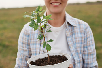 Anonymous faceless woman in checkered shirt holding young raspberry plant in in white pot, smiling...