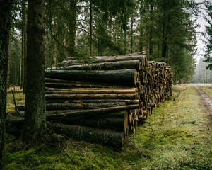 stack of logs