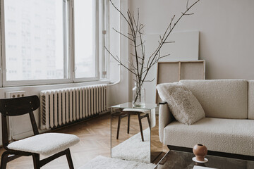Aesthetic modern Scandinavian home interior design. Elegant living room with comfortable sofa, mid-century furniture, cozy carpet, wooden floor, white walls, home plants