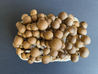 Fototapeta na wymiar Fresh beige shimeji mushrooms in a wicker basket on a dark background.