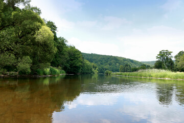 green nature of the River Semois, Belgium