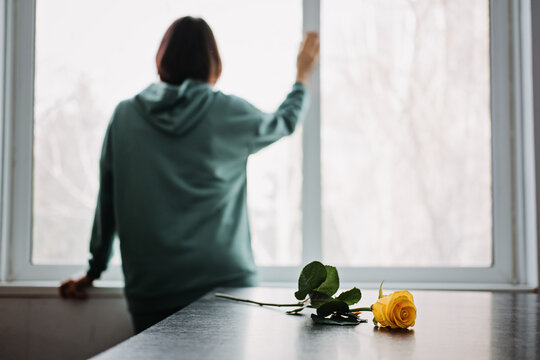 Mental health, loneliness, depression, Anger, Anxiety, Bipolar disorder and panic attacks concept. Back view of unhappy sad alone young woman with yellow rose flower at home