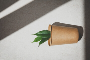 Zero waste concept. Paper glass on a stone beige background with green leaves. Flat lay