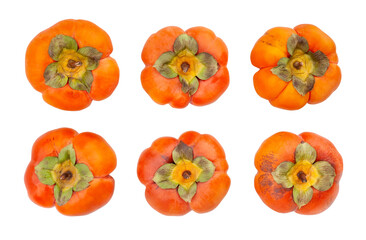 persimmon path isolated on white