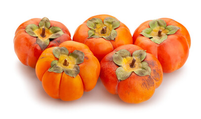 persimmon path isolated on white