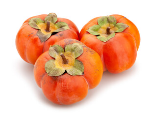 persimmon path isolated on white