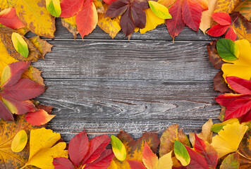 Naklejka na ściany i meble autumn leaves frame on wood background
