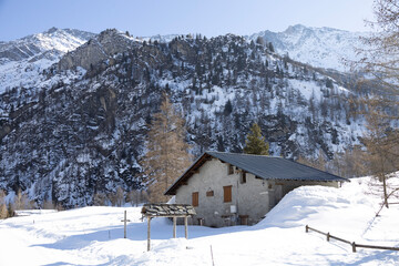 Chalet in the mountains - Winter Wonderland