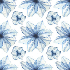 Watercolor floral seamless pattern, dusty blue flowers with transparent petals. Hand painted watercolor flowers on a white background 