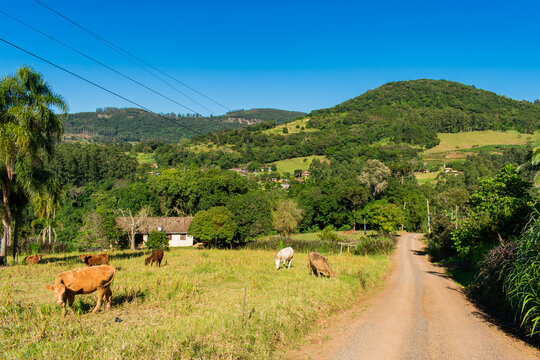 A view of the countryside in Tres Coroas - Rio Grande do Sul state, Brazil
