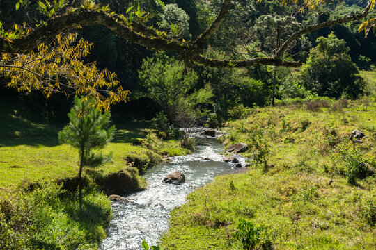 A creek in the countryside of Tres Coroas - Rio Grande do Sul, Brazil
