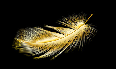 Gold feather isolated on black.Vector illustration.