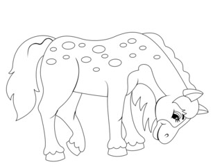 Spotted horse, isolated character. Vector, page for printable children coloring book.