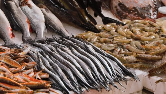Fresh garfish Fish - Belone belone - On Display On Ice On Fishermen Market Store Shop. Seafood Fish Background. The garfish Belone belone, also known as the garpike or sea needle, is a pelagic