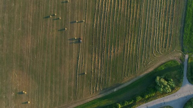 Aerial top view tractor with baling machine making silage bales on farmland at agricultural field. Drone shot haystack and harvesting dry grass for agriculture. Farmers season to cut and harvest crops