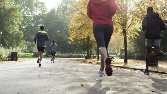 Back of a group of men and women jogging through a park together in slow motion. A group of friends doing a cardio workout and running through a garden together.A group of friends exercising together