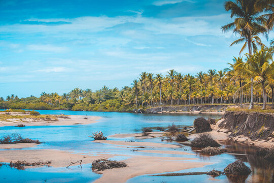Brazilian beach paradise south of bahia