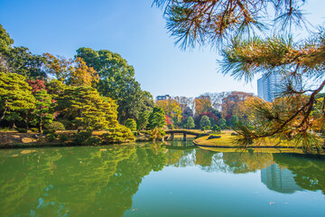 Fototapeta premium 東京都 六義園の紅葉