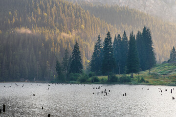 Lacul Rosu - Red Lake in a summer morning sunrise, the Carpathians.