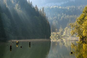 Lacul Rosu - Red Lake in a summer morning sunrise, the Carpathians.