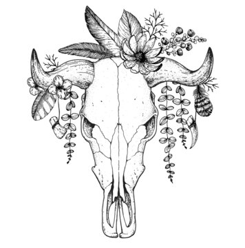 Buffalo Skull and flowers sketch. Hand drawn illustration. Wild west print. Vector illustration. Tattoo vintage print. Buffalo Skull and floral bouquet. T-shirt design.