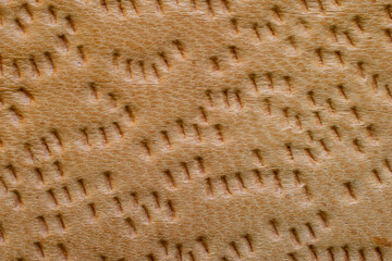 leather natural pig leather, background or texture