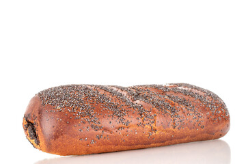 One appetizing homemade poppy seed roll, close-up, isolated on a white background.