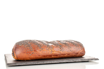 One appetizing homemade poppy seed roll on a slate stone, close-up, isolated on a white background.