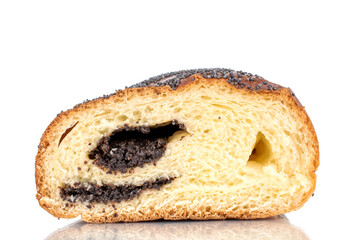 One slice of fragrant homemade poppy seed roll, macro, isolated on a white background.