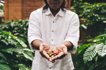 Unrecognizable businessman with caffeine beans reaching coffee business lifestyle and agriculture plantation in Columbia, cropped view of male farmer with ripe berries at cultivation in Brazil