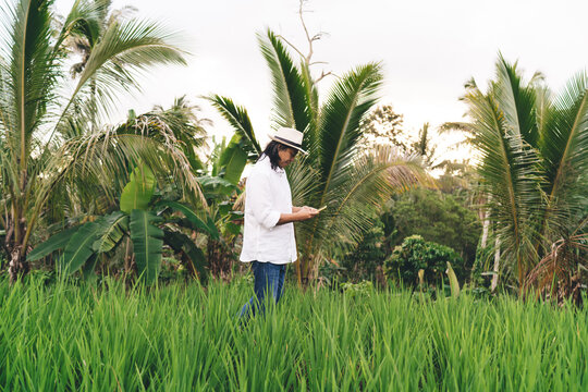 Adult male tourist with modern smartphone gadget chatting in social media while walking at rice fields and visiting Indonesia, Balinese man with cellphone technology checking received text message