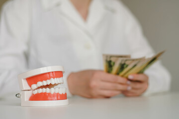 Dental artificial jaw. Woman dentist counting money on the background. Expensive dental care concept.