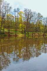 Spring landscape with green trees. The trees are reflected in the pond water.